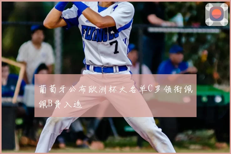 葡萄牙公布欧洲杯大名单C罗领衔佩佩B费入选