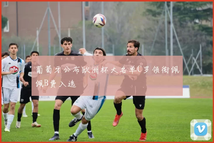 葡萄牙公布欧洲杯大名单C罗领衔佩佩B费入选